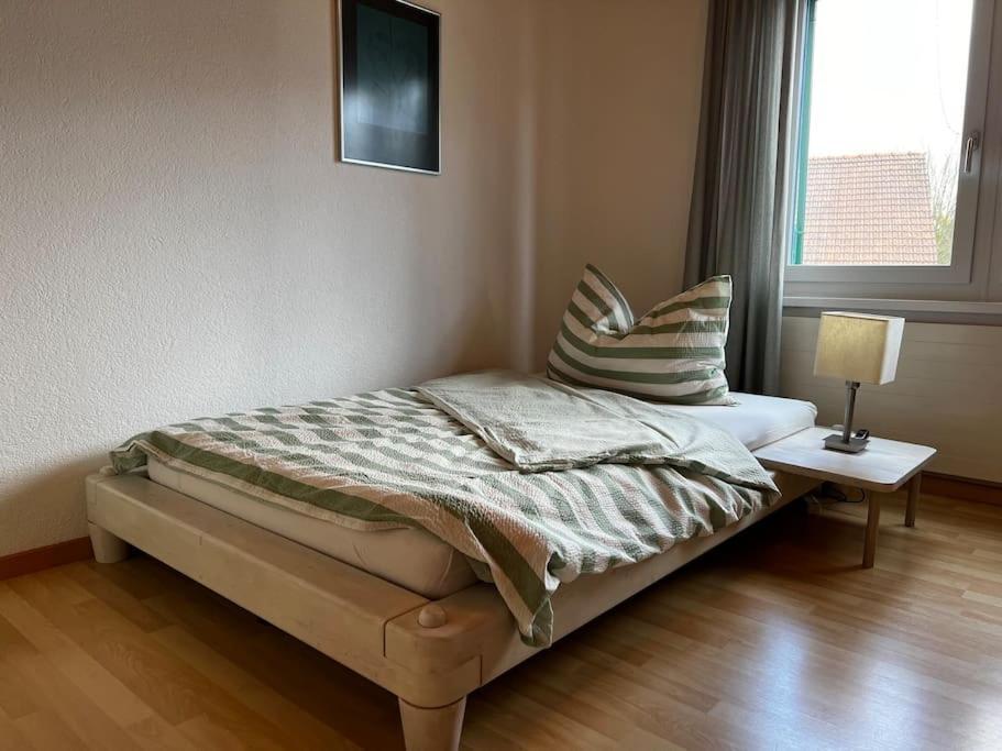 Charmante Und Zentrale Wohnung Am Weiherpark 阿尔邦 外观 照片
