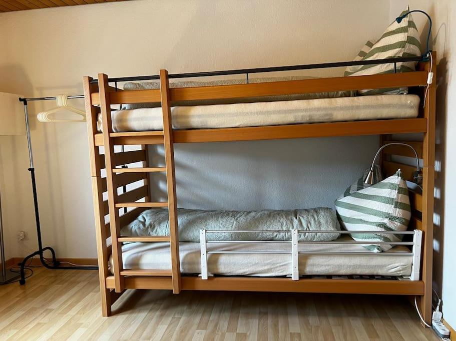 Charmante Und Zentrale Wohnung Am Weiherpark 阿尔邦 外观 照片