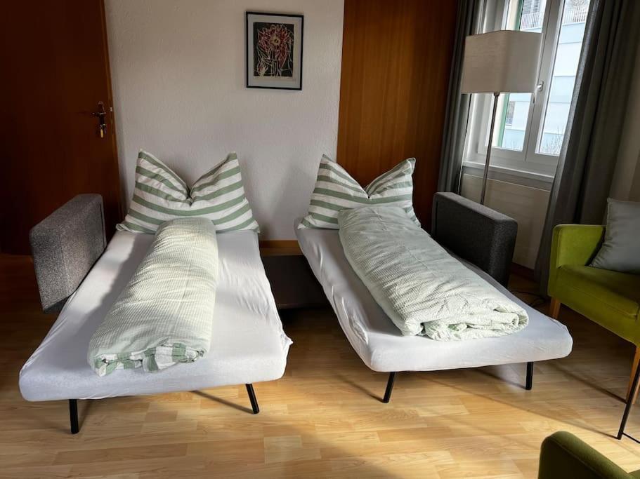 Charmante Und Zentrale Wohnung Am Weiherpark 阿尔邦 外观 照片